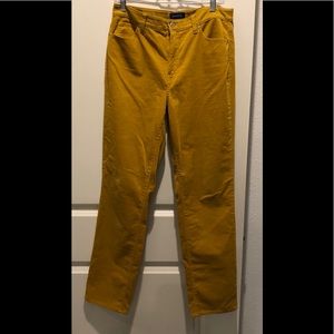 Talbot straight leg, high waisted pants